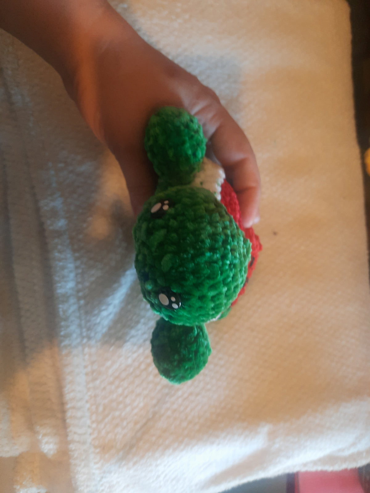 🍉🐢 Pastéa, la petite tortue pastèque