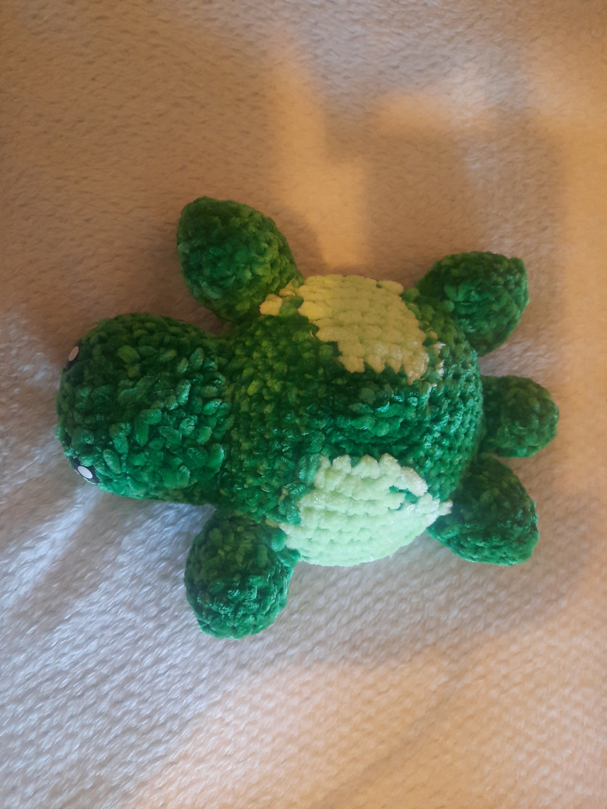 🍉🐢 Pastéa, la petite tortue pastèque
