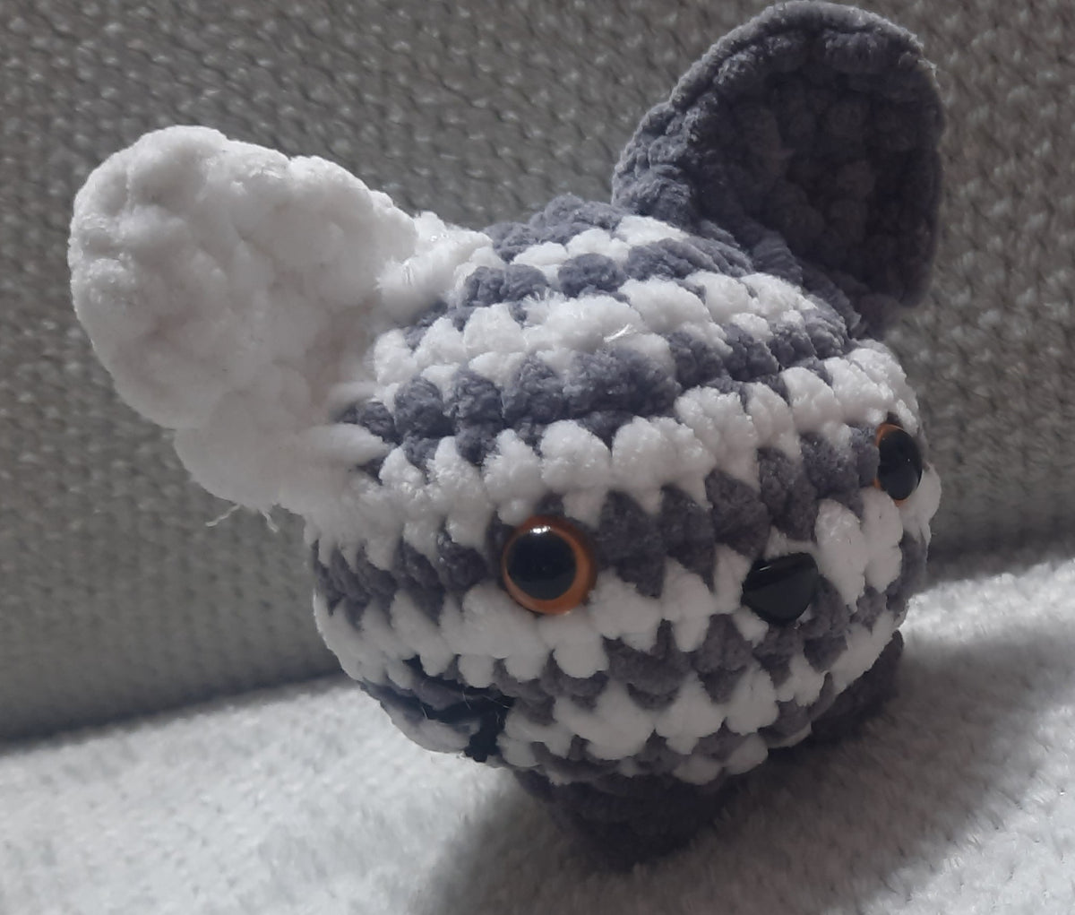 Néo le chat boule