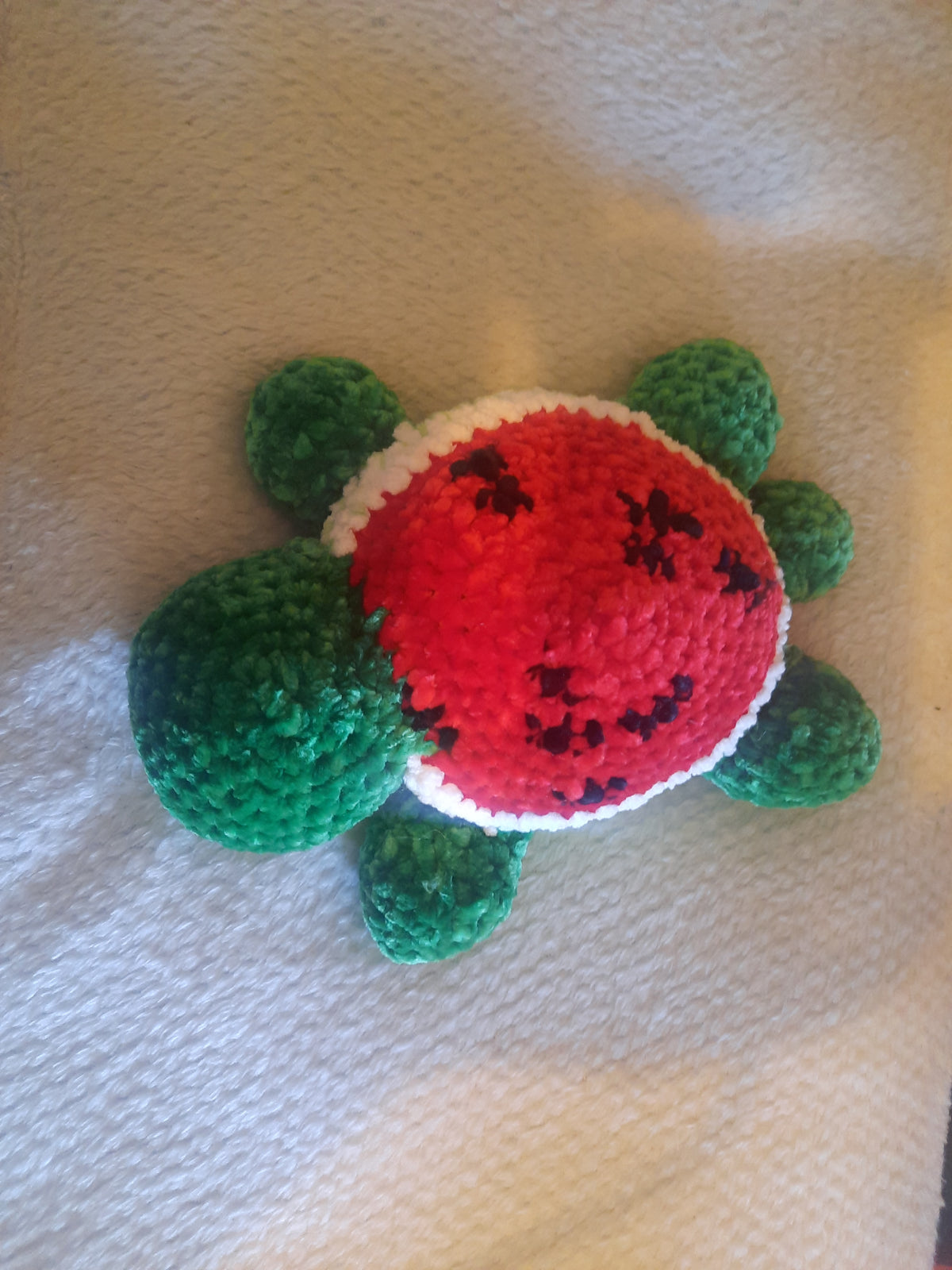 🍉🐢 Pastéa, la petite tortue pastèque