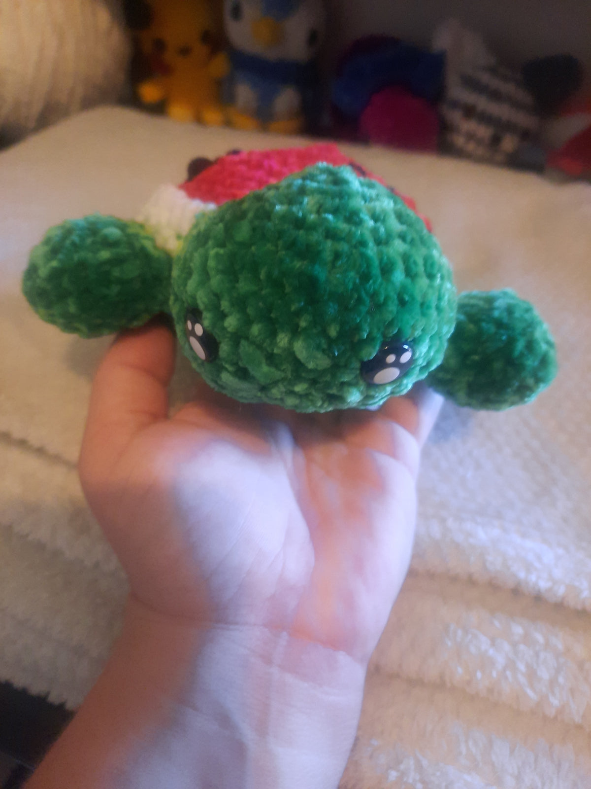 🍉🐢 Pastéa, la petite tortue pastèque