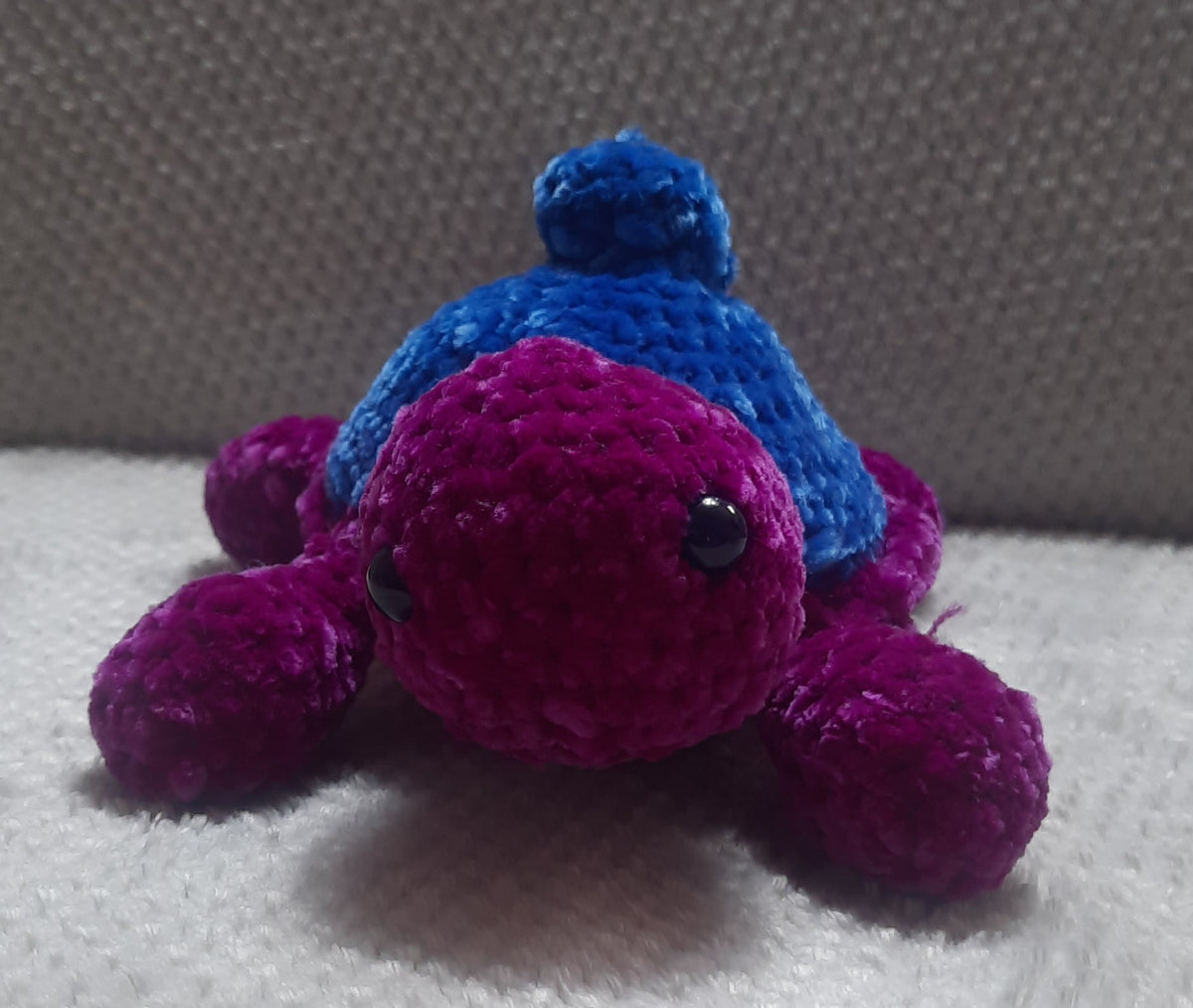 🫐🐢 Tortue Myrtille – Collection Tortues Fruitées 🐢🫐