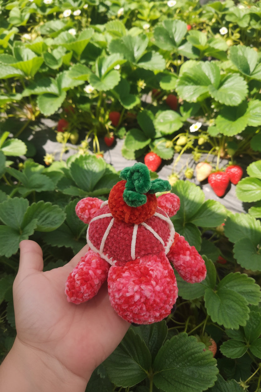 🍓 Tortue Fraise – Collection Tortues Fruitées