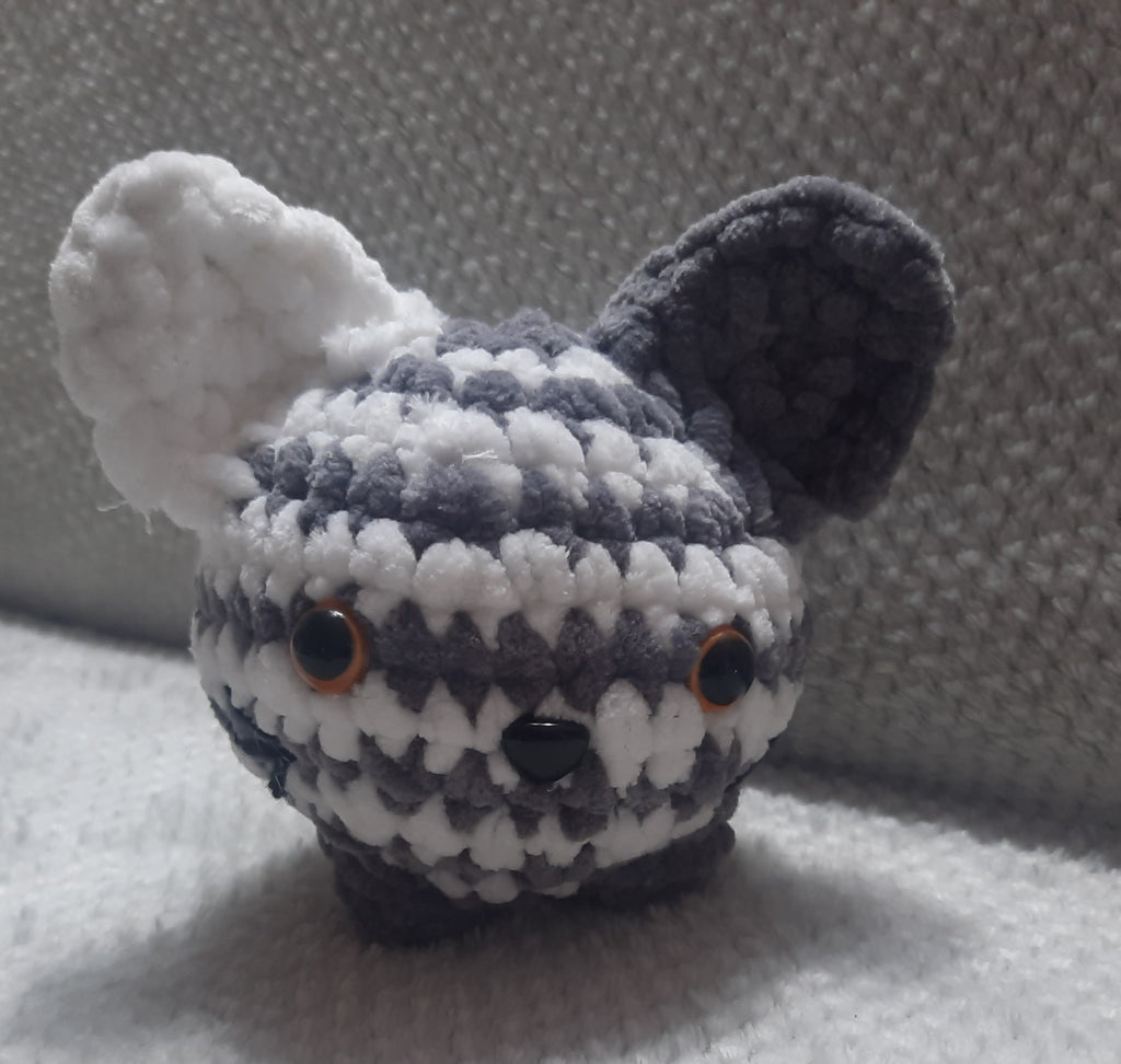 Néo le chat boule