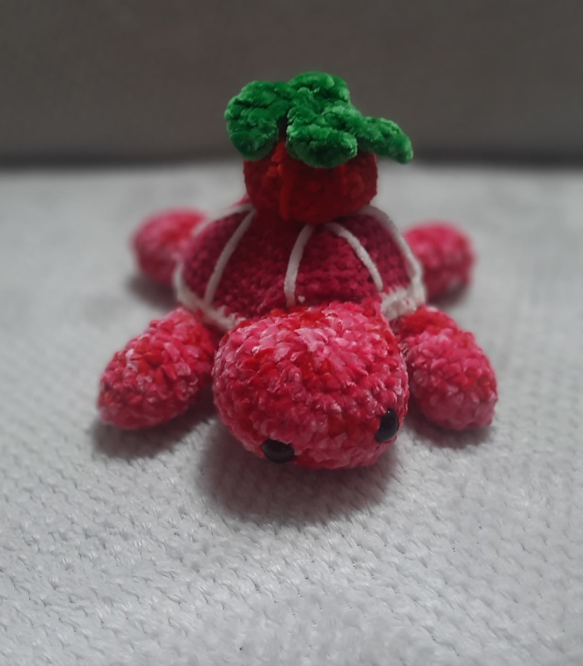 🍓 Tortue Fraise – Collection Tortues Fruitées