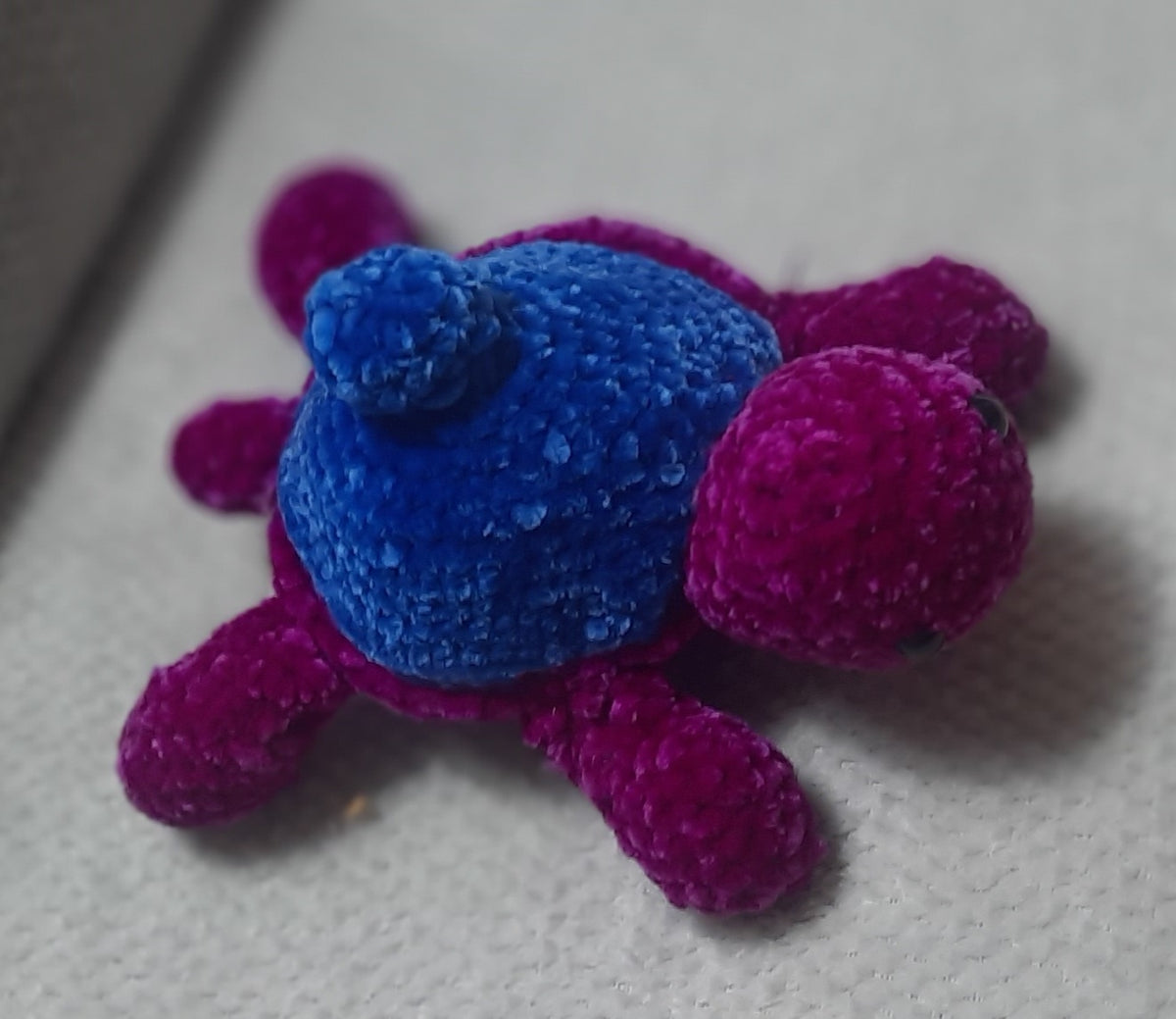 🫐🐢 Tortue Myrtille – Collection Tortues Fruitées 🐢🫐